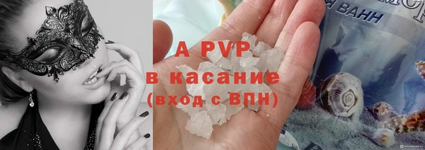 стаф Беломорск