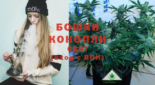 крисы Белоозёрский