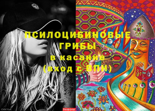 крисы Белоозёрский