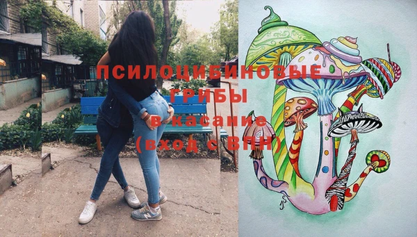скорость Белокуриха
