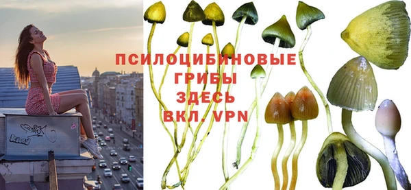 скорость Белокуриха