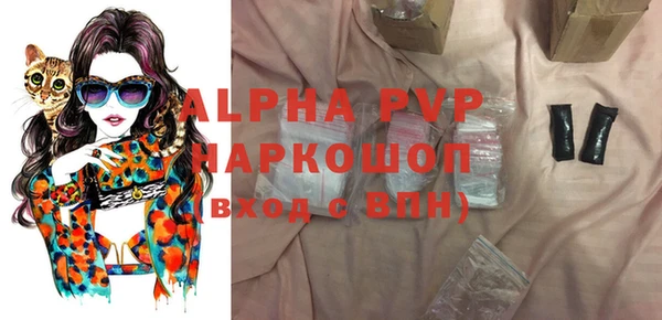 стаф Беломорск