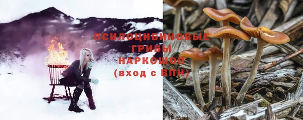крисы Белоозёрский