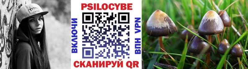Псилоцибиновые грибы Magic Shrooms Гусев